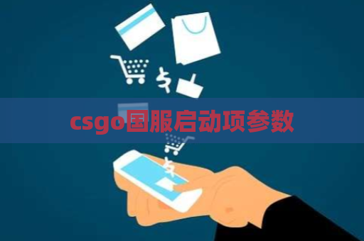 csgo国服启动项参数